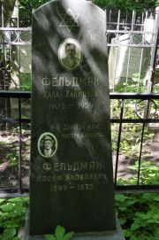 Фельдман Хана Хаимовна, Москва, Востряковское кладбище
